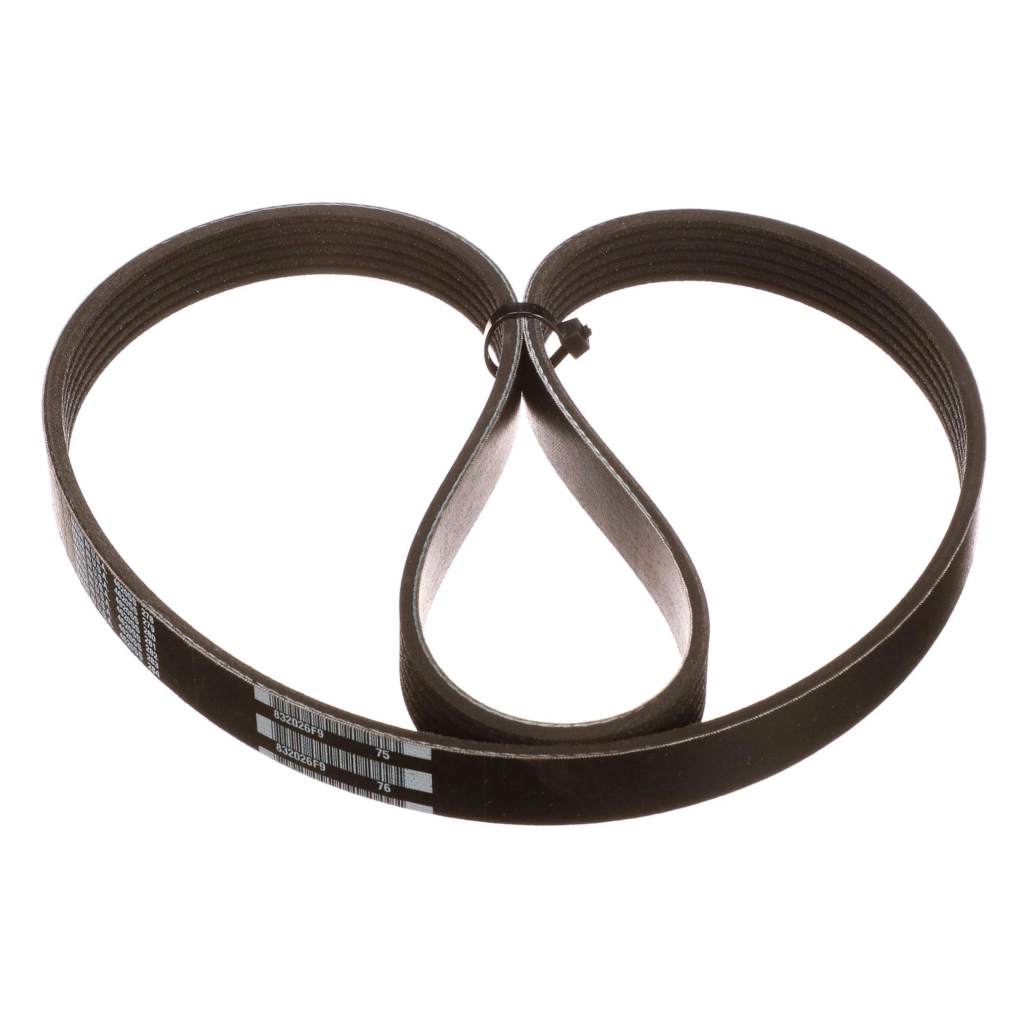 小物 forme & Card S Serpentine Genuine Ford Serpentine Belt 9L8Z-8620-C | eBay
